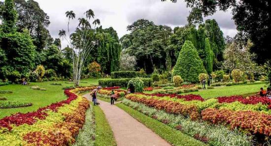 Sri Lanka hikes Botanic Garden visitation fee